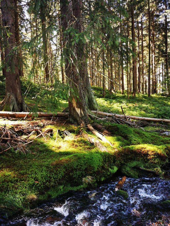 Chillout-Aparts Świeradów-Zdrój 외부 사진